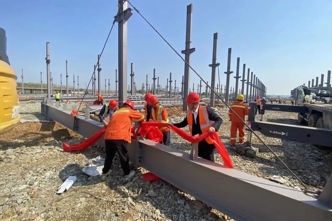 z6.com(中国区)官方网站